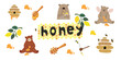 Set of sweet honey vector illustration, A bear with wings and paws stained with honey, brown cartoon bears,  bees, honeycombs, beehive, drops of honey. Flat cute vector illustration