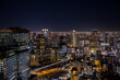 view of the Osaka skyline at night