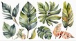 Watercolor set of tropical leaves, 
