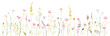 Watercolor Horizontal Banner with Wildflowers in Pastel Colors