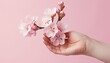Elegant stock photo of a hand gently holding a soft pink blossom, minimalist pink hues enhancing delicacy