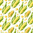 Fresh sweet corn seamless pattern, Hand drawn watercolor illustration