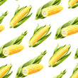 Fresh sweet corn seamless pattern. Hand drawn watercolor illustration, isolated on white background