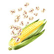 Popcorn and fresh corn comb.  Hand drawn watercolor illustration, isolated on white background