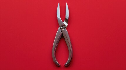 Poster - A pair of scissors on a bright red background. Suitable for various projects