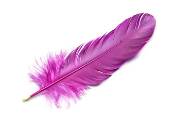 Poster - A single purple feather on a plain white background. Ideal for design projects