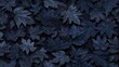 Ebony Essence, Close-Up of Black Fallen Leaves on a Velvet Navy Background.