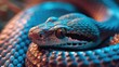 A beautiful and dangerous predatory snake Poisonous exotic reptile