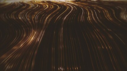 Poster - Gold Streaming Lines Background/ Animation of an abstract background of flowing and streaming light strings with depth of field