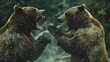 Fierce Battle of Grizzly Bears