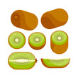 Kiwi. Set of whole, slice, half. Fresh kiwi fruit.