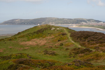 Wall Mural - Hill walking on Conwy Mountain in North wales