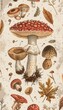 Vintage drawing of mushroom anatomy.