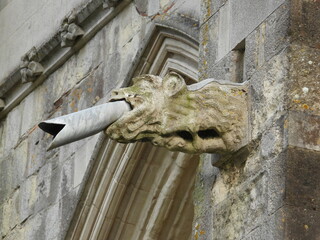 carved water drain on the wall in the shape of a head