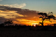 Sunrise in a landscape  in the Kgalagadi Transfrontier Park in South Africa