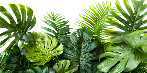 Tropical vibes plant bush floral arrangement with tropical leaves Monstera and fern, isolated on transparent background