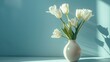 White tulips in a ceramic vase on a blue background