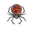 halloween plate in the shape of a spider with marmalade isolated on white background