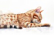 Ocicat watercolor, isolated on white background.
