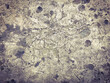 Abstract grunge background, detailed texture. Old concrete wall.