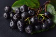 Black Aronia Berries - Ripe and Tasty With Many Leaves. A Delicious and Nutritious Food, Sweet 