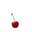 A solitary cherry displayed against a transparent background