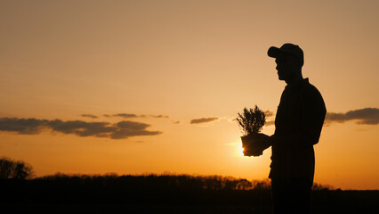 Wall Mural - Silhouette of man with flowers at sunset, happy gesture