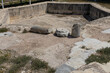Fragmented Columns at Kourion Archaeological Site