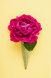 Bright pink peony in waffle ice cream cone on a yellow background.
