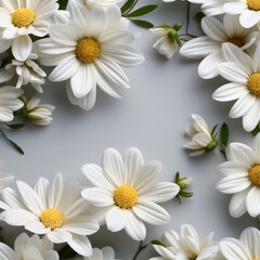 Canvas Print - white daisies on a background. top view. copy space.