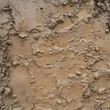 Background texture of wet clay.
