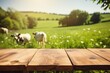 Empty wooden table top and blurred rural background of cows on green field and meadow with grass. Space for design your dairy organic product.