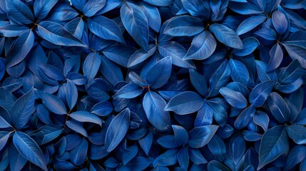 Wall Mural - Detailed view of a cluster of blue leaves, showcasing intricate patterns and textures