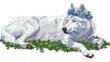   A white dog wearing a blue bloom rests on a grassy patch sprinkled with yellow flowers