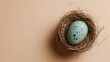Speckled egg resting in nest against plain background