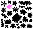 A playful design featuring a sea of black flower silhouettes with a single vibrant pink flower standing out, symbolizing uniqueness.