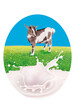 animal, chèvre, nature, mammifère, faune, gazon, vert, joli, klaxon, bois, fromage, illustration, mouton ,blanc, lait, produit laitière, 