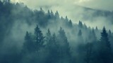 Fototapeta  - Misty fir forest beautiful landscape in hipster vintage retro style foggy mountains and trees