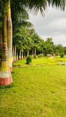 Poster - beautiful scenery of lalbagh botanical garden