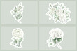 green floral bouquets and stickers illustration