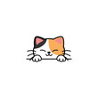 Cute calico cat peeking cartoon, vector illustration