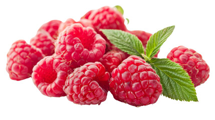 Wall Mural - Raspberries 