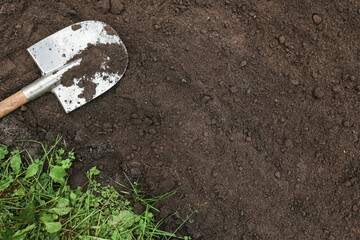 Wall Mural - Brown dark humus, soil ground texture background with copyspace and shovel on garden bed top view. Organic farming, gardening, growing, agriculture