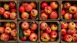 © BrightWhite - Vibrant display of fresh apples in wooden crates, showcasing varieties in red and yellow hues, perfect for autumn harvest and healthy snacks.