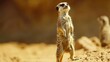 Curious meerkat standing on hind legs  AI generated illustration