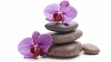 Fototapeta Panele - purple orchids stones white background