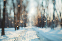 Blurred Photograph Of Winter. Outoffocus Photograph