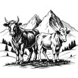 Hand-drawn engraving style illustrations of two alpine cows in vector format