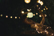 Glowing solar-powered lanterns on a tree in the garden, garden plot decoration design
