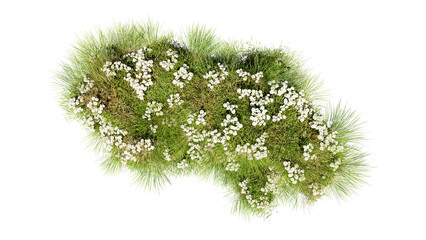 Wall Mural - top view of 3d render various types of flowers grass bushes shrub and small plants on transparent ba